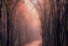 沙特阿拉伯女足队员突破传球纪录，点燃中东女子足球新篇章