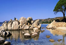 森林狼球员表现突出，帮助球队取得胜利