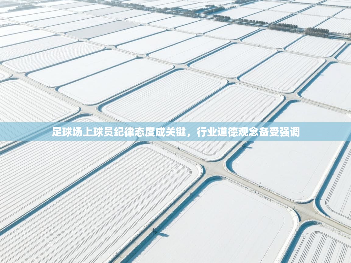足球场上球员纪律态度成关键,行业道德观念备受强调 第1张