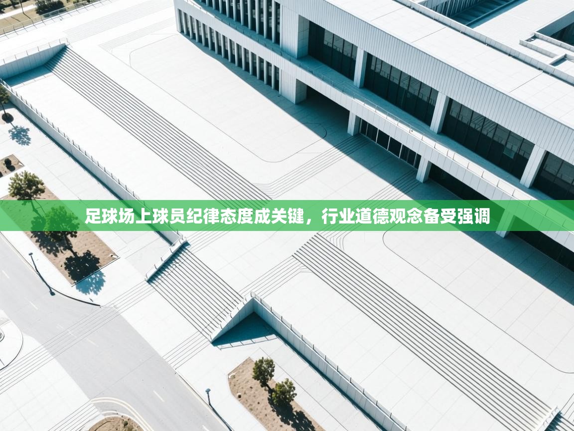 足球场上球员纪律态度成关键,行业道德观念备受强调 第2张